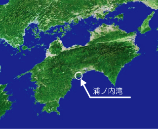 浦ノ内湾