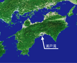 浦戸湾