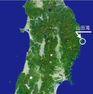 山田湾