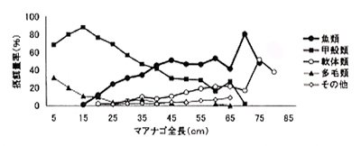 グラフ：餌の摂餌量率とマアナゴ全長