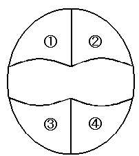 図：フグの板歯