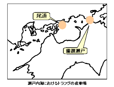 位置図：瀬戸内海におけるトラフグの産卵場