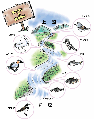 環境省 せとうちネット 川を調べる