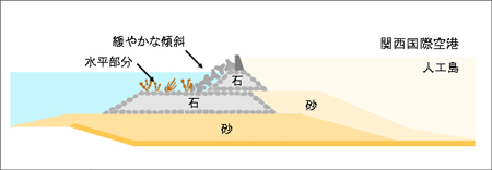 関西国際空港人工島断面図