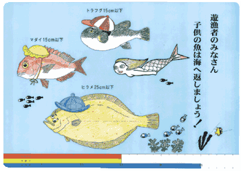 山口県漁業連が作成した啓発用下敷
