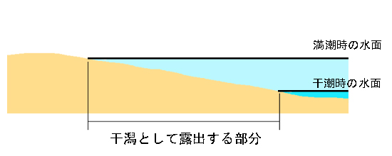 干潟として露出する部分