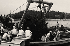 1960 Damage from the Chile tusnami2