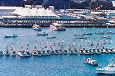 1984 The national convention for creation of healthy sea