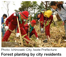 Forest efforts image