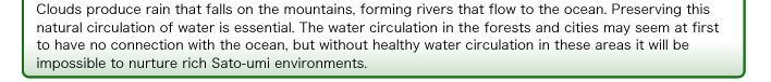 Clouds produce rain that falls on the mountains, forming rivers that flow to the ocean. Preserving this natural circulation of water is essential. The water circulation in the forests and cities may seem at first to have no connection with the ocean, but without healthy water circulation in these areas it will be impossible to nurture rich Sato-umi environments. 