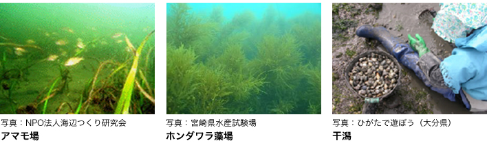 里海と生態系 里海ネット 環境省 里海と生態系 里海ネット 環境省
