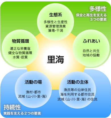 多様性　保全と再生を支える3つの要素　生態系・ふれあい・物質循環　持続性　実践を支える２つの要素　活動の場・活動の主体