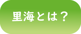 里海とは？