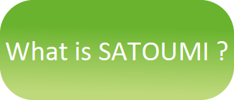 What is SATOUMI?