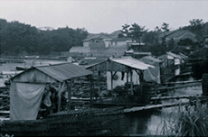 1958年 真珠養殖場3