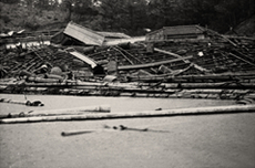 1960年 チリ津波による被害5