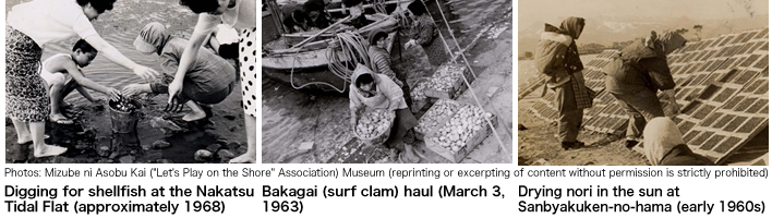 Shellfish digging in Nakatsu tidal flat (circa 1968), catch of Bakagai (March 3, 1963), and sun-dried seaweed Sanhyakkenhama beach (late 1955)
