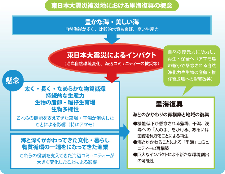 東日本大震災被災地における里海復興の概念。里海復興は東日本大震災でインパクトを受けた海とのかかわりの再構築と地域の復興と考えられます。