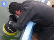 船上から藻場を観察するイメージ