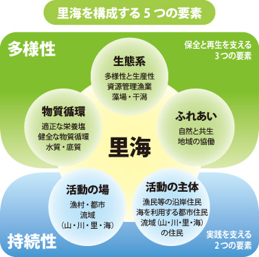 里海を構成する５つの要素は多様性として、物質循環、生態系、ふれあい、持続性として活動の場、活動の主体があげられます。