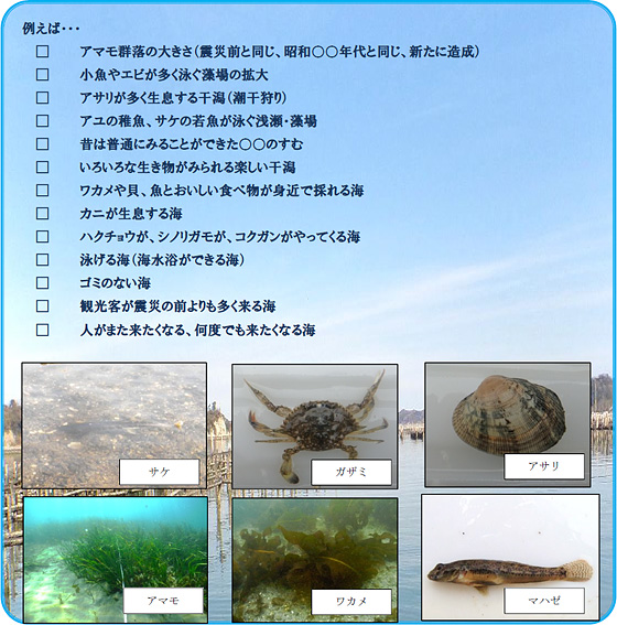 目標イメージの設定として、アマモ群落の大きさ、目標とする生物の生息や増加、きれいな海、何度もきたくなる海、などが考えられます
