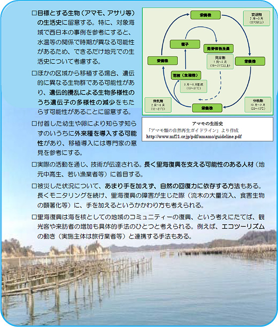 具体的手法と場を設定する留意点として、生活史、遺伝的かく乱、外来種、継承、自然回復力の見極め、エコツーリズムなどがあげられます。