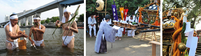 瀬戸神社の無垢塩祓ひにはアマモが象徴的に用いられています