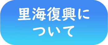 里海復興について