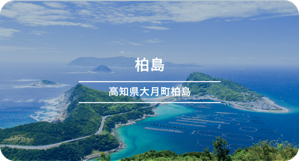 柏島