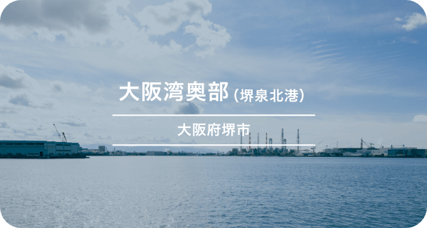 大阪湾奥部　堺泉北港