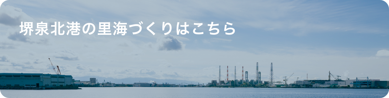 堺泉北港の里海づくりはこちら