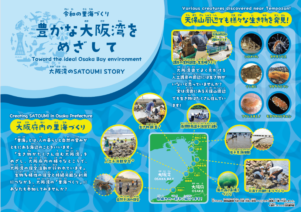 豊かな大阪湾をめざして