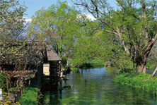 安曇野わさび田湧水群写真