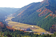 鳥川ホタルの里湧水群写真