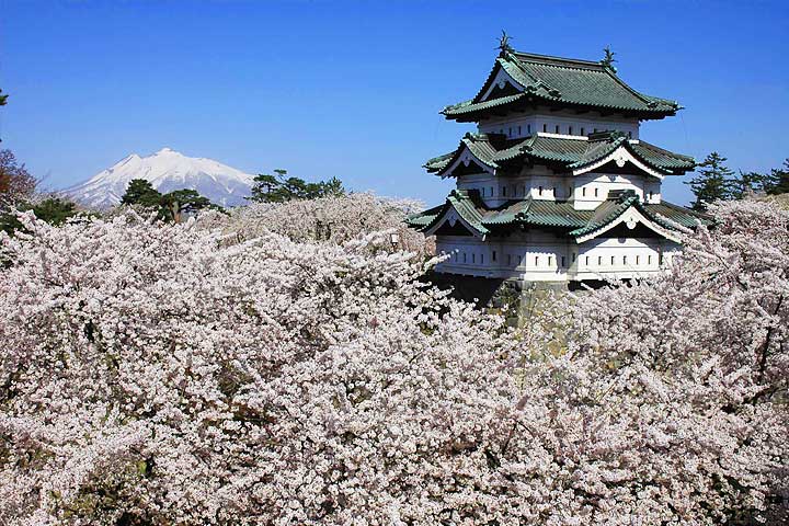 富田の清水写真