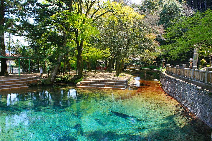 別府弁天池湧水写真