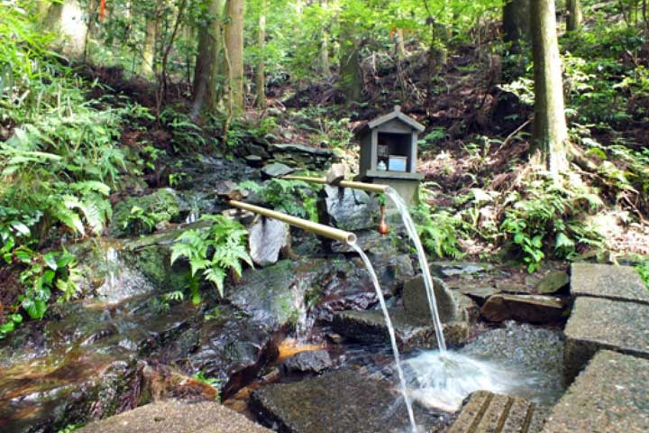 鳥川ホタルの里湧水群の写真