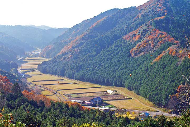 鳥川ホタルの里湧水群写真