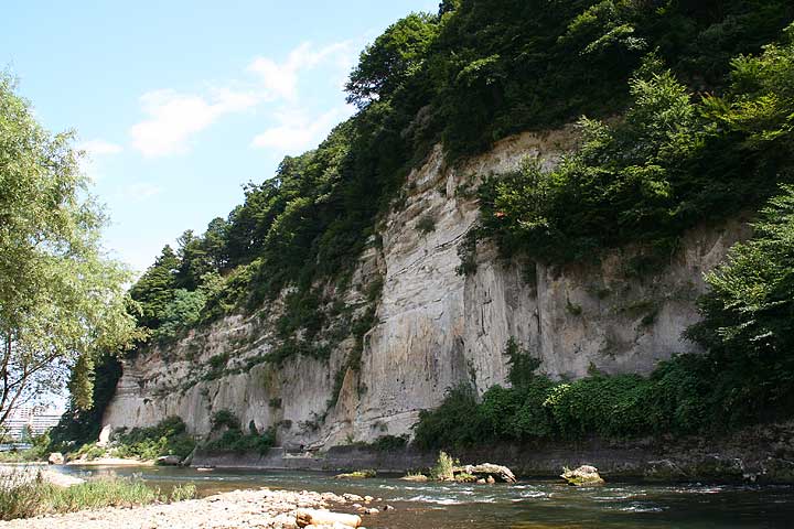 広瀬川写真