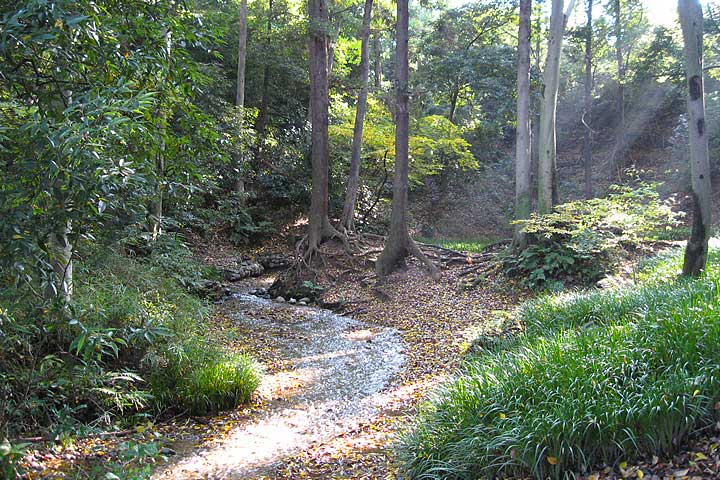 妙音沢写真