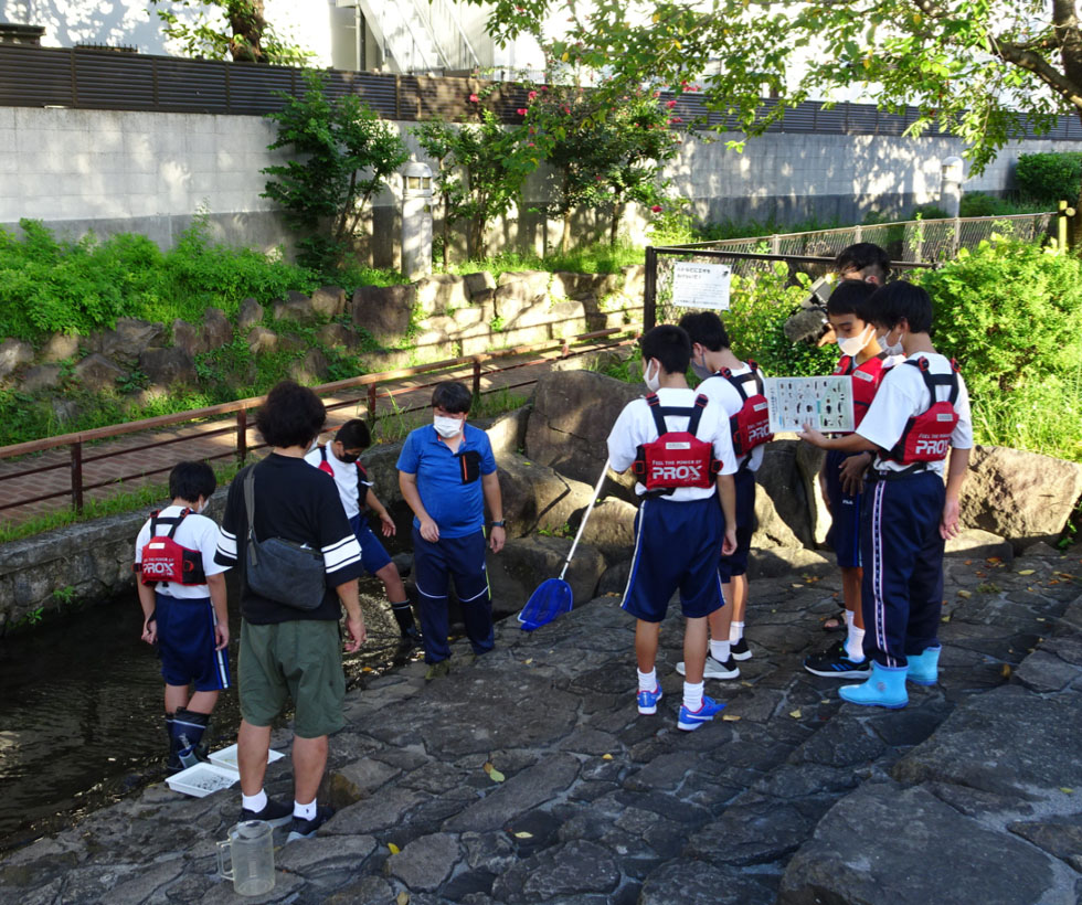 活動写真