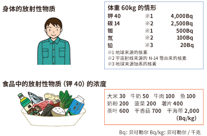 Natural radioactive materials in the human body and foods