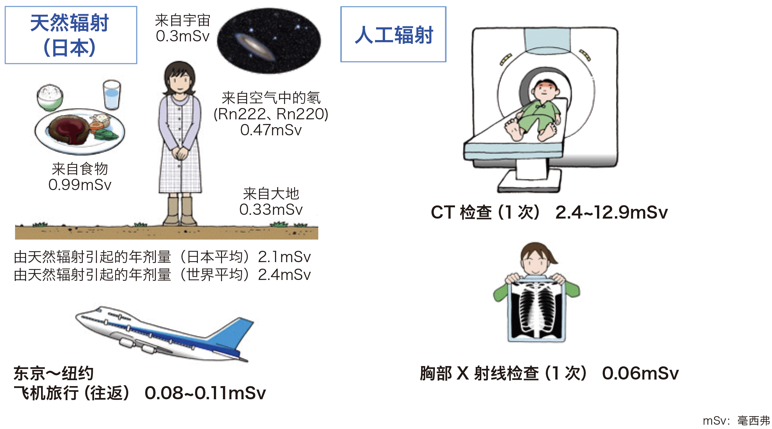 Natural and artificial radiation exposure dose