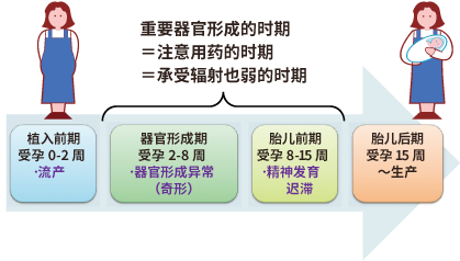 Deterministic effects and differences depending on the timing of exposure