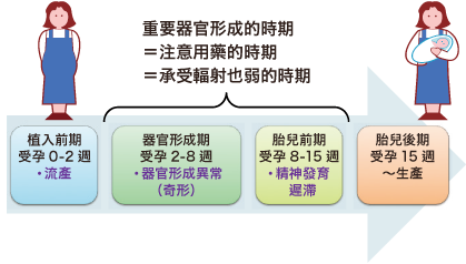 Deterministic effects and differences depending on the timing of exposure